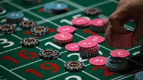 Perbandingan pengalaman platform ratu212